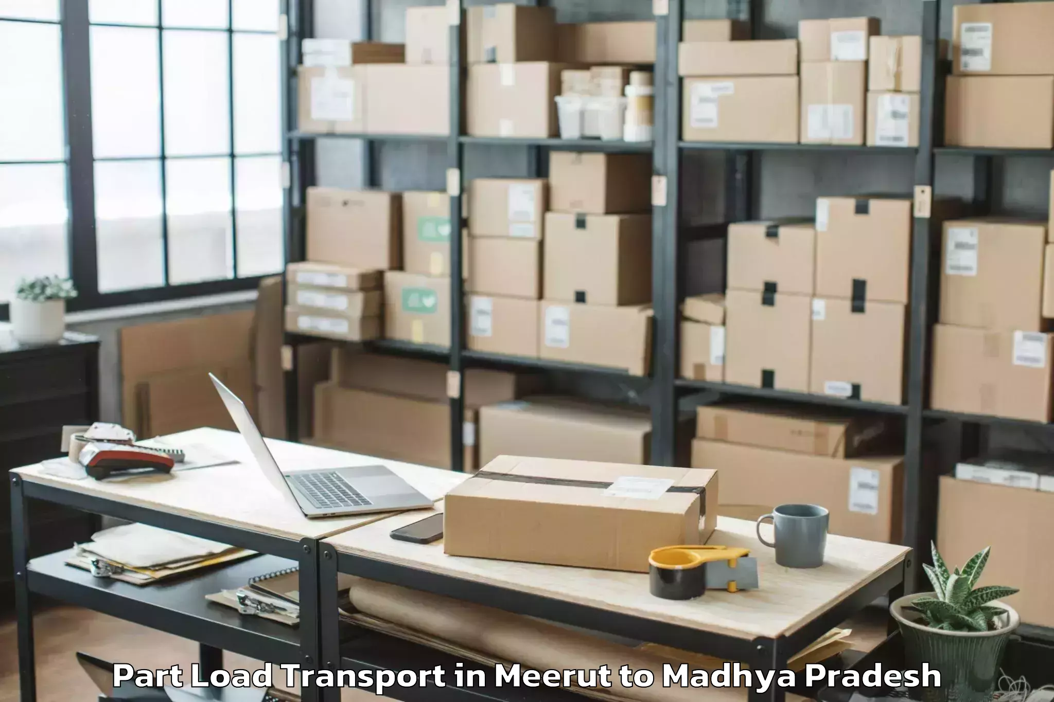 Professional Meerut to Patharia Part Load Transport